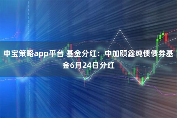 申宝策略app平台 基金分红：中加颐鑫纯债债券基金6月24日分红