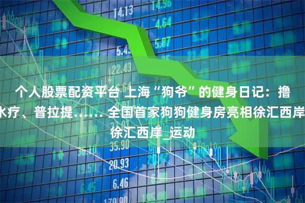 个人股票配资平台 上海“狗爷”的健身日记：撸铁、水疗、普拉提…… 全国首家狗狗健身房亮相徐汇西岸_运动