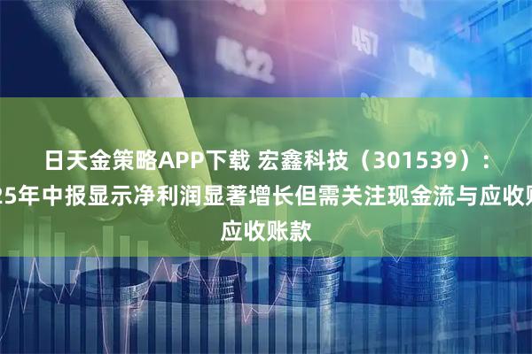 日天金策略APP下载 宏鑫科技（301539）：2025年中报显示净利润显著增长但需关注现金流与应收账款