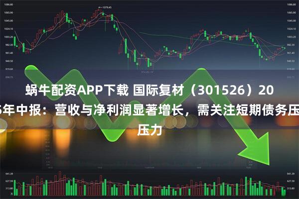 蜗牛配资APP下载 国际复材（301526）2025年中报：营收与净利润显著增长，需关注短期债务压力